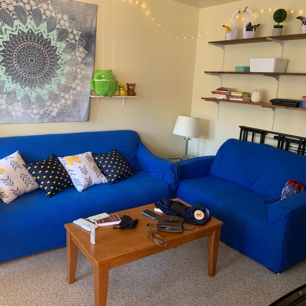 Set of couch covers
